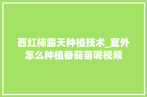 西红柿露天种植技术_室外怎么种植番茄苗呢视频