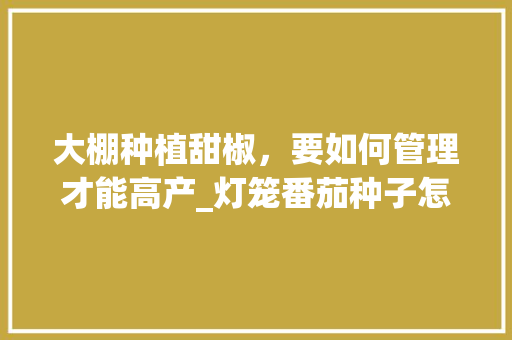 大棚种植甜椒，要如何管理才能高产_灯笼番茄种子怎么种植视频