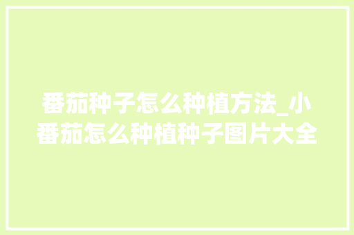 番茄种子怎么种植方法_小番茄怎么种植种子图片大全 番茄种子怎么种植方法_小番茄怎么种植种子图片大全 农业常识