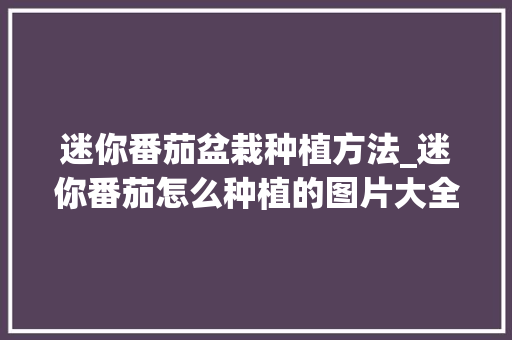 迷你番茄盆栽种植方法_迷你番茄怎么种植的图片大全