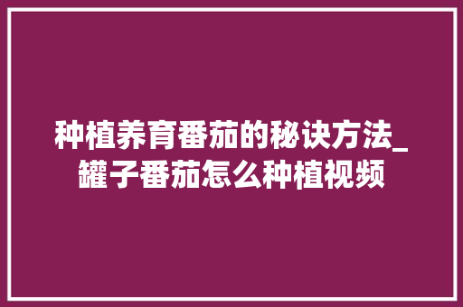 种植养育番茄的秘诀方法_罐子番茄怎么种植视频 种植养育番茄的秘诀方法_罐子番茄怎么种植视频 种植技巧