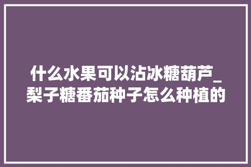 什么水果可以沾冰糖葫芦_梨子糖番茄种子怎么种植的 什么水果可以沾冰糖葫芦_梨子糖番茄种子怎么种植的 农业常识