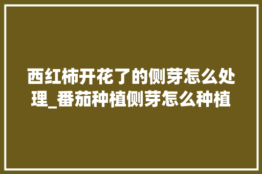 西红柿开花了的侧芽怎么处理_番茄种植侧芽怎么种植