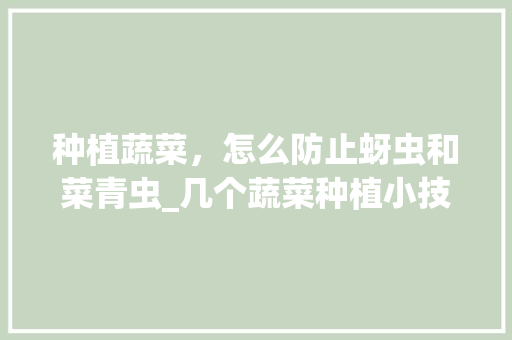 种植蔬菜，怎么防止蚜虫和菜青虫_几个蔬菜种植小技巧图片