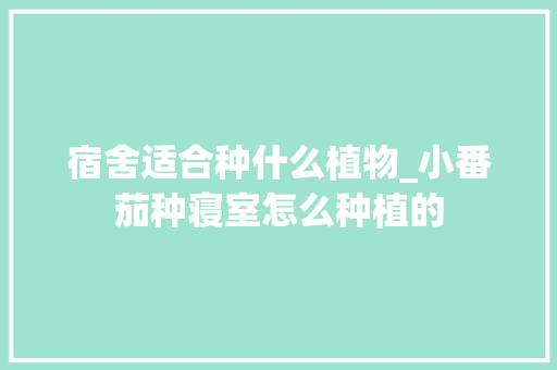 宿舍适合种什么植物_小番茄种寝室怎么种植的 农业常识 宿舍适合种什么植物_小番茄种寝室怎么种植的 宿舍适合种什么植物_小番茄种寝室怎么种植的 农业常识