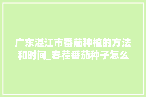 广东湛江市番茄种植的方法和时间_春茬番茄种子怎么种植视频 广东湛江市番茄种植的方法和时间_春茬番茄种子怎么种植视频 番茄种植技巧
