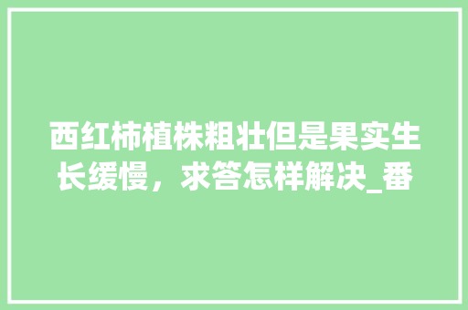 西红柿植株粗壮但是果实生长缓慢，求答怎样解决_番茄种植怎么养粗壮好呢