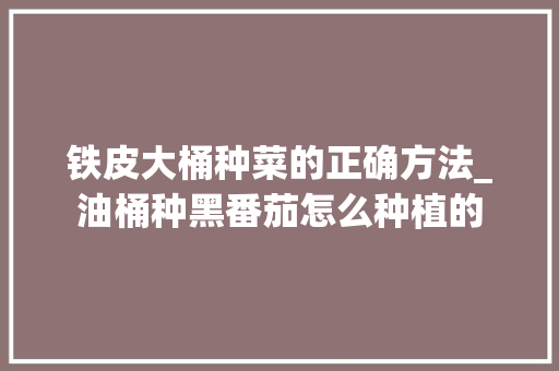 铁皮大桶种菜的正确方法_油桶种黑番茄怎么种植的
