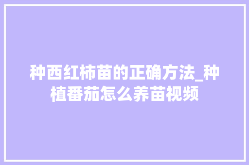 种西红柿苗的正确方法_种植番茄怎么养苗视频 种西红柿苗的正确方法_种植番茄怎么养苗视频 花朵知识