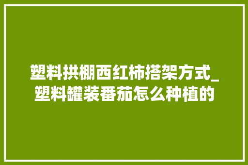 塑料拱棚西红柿搭架方式_塑料罐装番茄怎么种植的