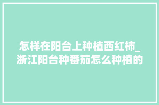 怎样在阳台上种植西红柿_浙江阳台种番茄怎么种植的 怎样在阳台上种植西红柿_浙江阳台种番茄怎么种植的 番茄病虫害防治