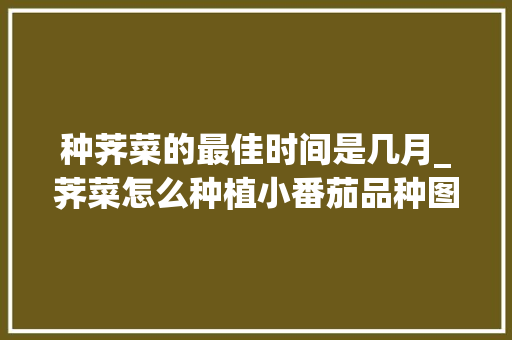 种荠菜的最佳时间是几月_荠菜怎么种植小番茄品种图片