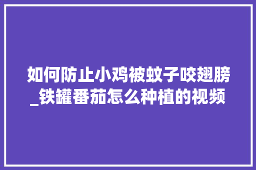 如何防止小鸡被蚊子咬翅膀_铁罐番茄怎么种植的视频