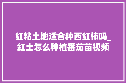 红粘土地适合种西红柿吗_红土怎么种植番茄苗视频 红粘土地适合种西红柿吗_红土怎么种植番茄苗视频 农业常识