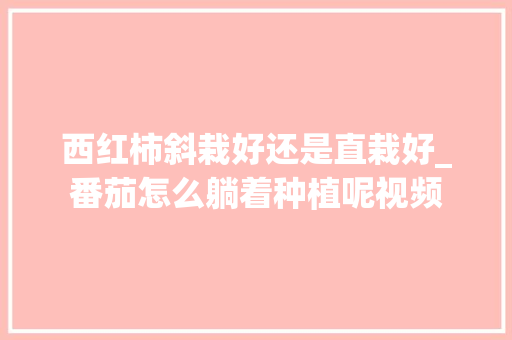 西红柿斜栽好还是直栽好_番茄怎么躺着种植呢视频 西红柿斜栽好还是直栽好_番茄怎么躺着种植呢视频 种植技巧