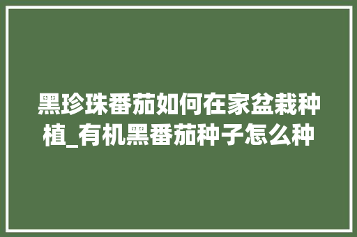 黑珍珠番茄如何在家盆栽种植_有机黑番茄种子怎么种植的 黑珍珠番茄如何在家盆栽种植_有机黑番茄种子怎么种植的 植物种类
