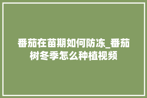 番茄在苗期如何防冻_番茄树冬季怎么种植视频