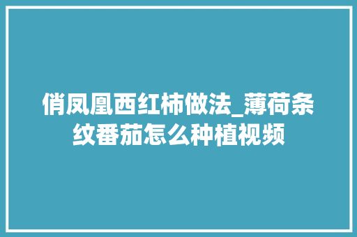 俏凤凰西红柿做法_薄荷条纹番茄怎么种植视频 俏凤凰西红柿做法_薄荷条纹番茄怎么种植视频 农业常识