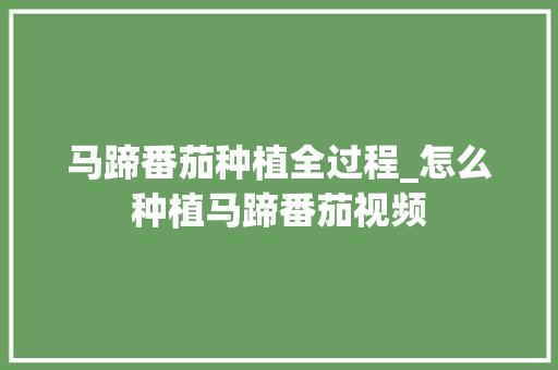 马蹄番茄种植全过程_怎么种植马蹄番茄视频