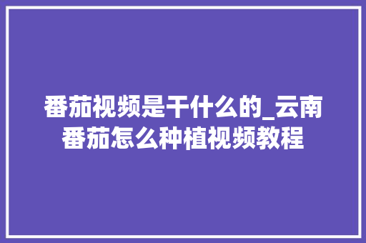 番茄视频是干什么的_云南番茄怎么种植视频教程 番茄视频是干什么的_云南番茄怎么种植视频教程 番茄种植技巧
