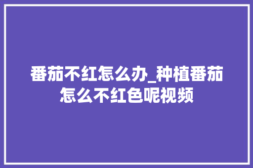 番茄不红怎么办_种植番茄怎么不红色呢视频