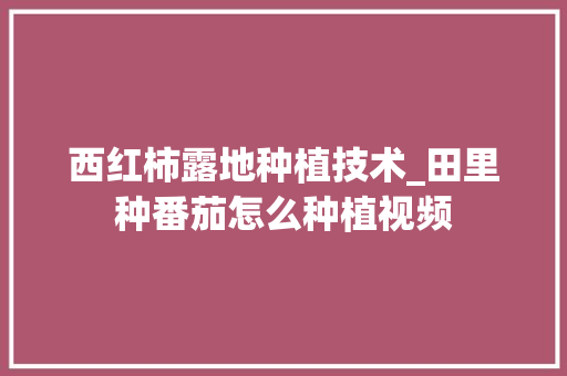 西红柿露地种植技术_田里种番茄怎么种植视频 西红柿露地种植技术_田里种番茄怎么种植视频 种植技巧
