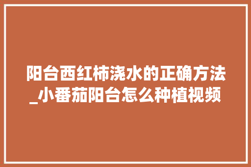 阳台西红柿浇水的正确方法_小番茄阳台怎么种植视频 阳台西红柿浇水的正确方法_小番茄阳台怎么种植视频 土壤施肥