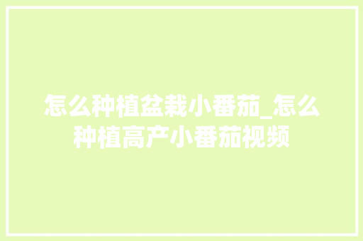 怎么种植盆栽小番茄_怎么种植高产小番茄视频