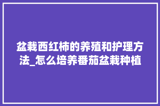 盆栽西红柿的养殖和护理方法_怎么培养番茄盆栽种植能力 盆栽西红柿的养殖和护理方法_怎么培养番茄盆栽种植能力 植物种类