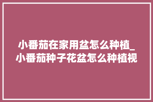 小番茄在家用盆怎么种植_小番茄种子花盆怎么种植视频 小番茄在家用盆怎么种植_小番茄种子花盆怎么种植视频 植物种类