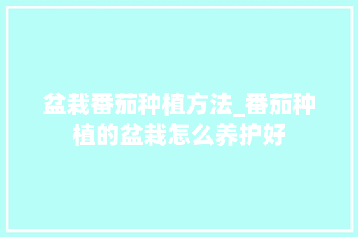 盆栽番茄种植方法_番茄种植的盆栽怎么养护好 盆栽番茄种植方法_番茄种植的盆栽怎么养护好 农业常识