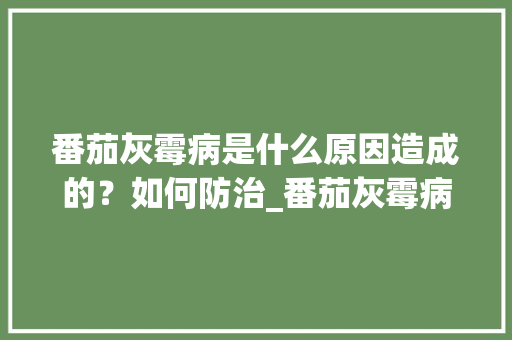 番茄灰霉病是什么原因造成的？如何防治_番茄灰霉病怎么种植的
