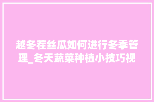 越冬茬丝瓜如何进行冬季管理_冬天蔬菜种植小技巧视频教程 越冬茬丝瓜如何进行冬季管理_冬天蔬菜种植小技巧视频教程 番茄种植技巧