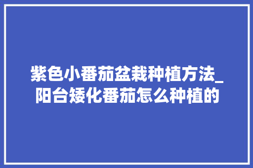 紫色小番茄盆栽种植方法_阳台矮化番茄怎么种植的 紫色小番茄盆栽种植方法_阳台矮化番茄怎么种植的 土壤施肥