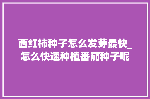 西红柿种子怎么发芽最快_怎么快速种植番茄种子呢 西红柿种子怎么发芽最快_怎么快速种植番茄种子呢 番茄病虫害防治
