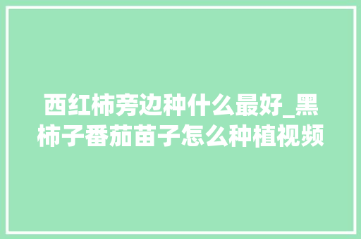 西红柿旁边种什么最好_黑柿子番茄苗子怎么种植视频