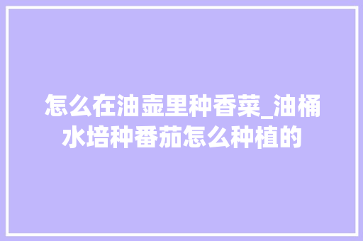 怎么在油壶里种香菜_油桶水培种番茄怎么种植的