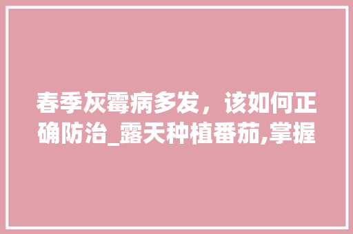 春季灰霉病多发，该如何正确防治_露天种植番茄,掌握2个技巧,番茄多的压断枝