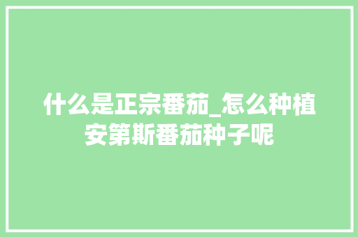 什么是正宗番茄_怎么种植安第斯番茄种子呢 什么是正宗番茄_怎么种植安第斯番茄种子呢 番茄病虫害防治