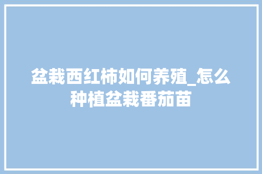 盆栽西红柿如何养殖_怎么种植盆栽番茄苗 盆栽西红柿如何养殖_怎么种植盆栽番茄苗 番茄种植技巧