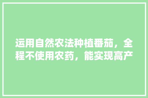 运用自然农法种植番茄，全程不使用农药，能实现高产高品质吗_新疆自留种番茄怎么种植的 运用自然农法种植番茄，全程不使用农药，能实现高产高品质吗_新疆自留种番茄怎么种植的 番茄种植技巧