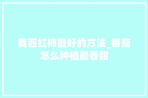 栽西红柿最好的方法_番茄怎么种植最香甜 栽西红柿最好的方法_番茄怎么种植最香甜 番茄种植技巧