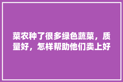 菜农种了很多绿色蔬菜，质量好，怎样帮助他们卖上好价钱呢_爱种蔬菜种植技巧视频 菜农种了很多绿色蔬菜，质量好，怎样帮助他们卖上好价钱呢_爱种蔬菜种植技巧视频 番茄病虫害防治