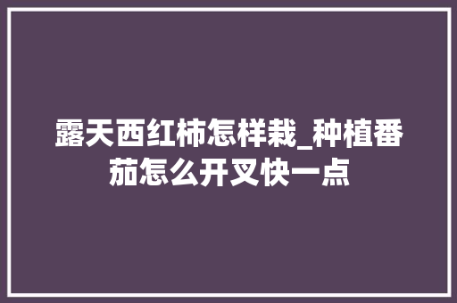 露天西红柿怎样栽_种植番茄怎么开叉快一点 露天西红柿怎样栽_种植番茄怎么开叉快一点 番茄种植技巧
