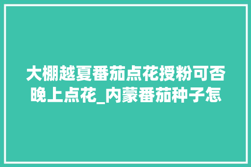 大棚越夏番茄点花授粉可否晚上点花_内蒙番茄种子怎么种植的 种植技巧 大棚越夏番茄点花授粉可否晚上点花_内蒙番茄种子怎么种植的 大棚越夏番茄点花授粉可否晚上点花_内蒙番茄种子怎么种植的 种植技巧