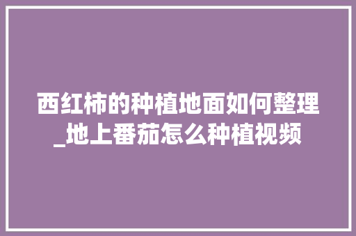 西红柿的种植地面如何整理_地上番茄怎么种植视频 土壤施肥 西红柿的种植地面如何整理_地上番茄怎么种植视频 西红柿的种植地面如何整理_地上番茄怎么种植视频 土壤施肥