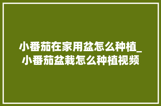 小番茄在家用盆怎么种植_小番茄盆栽怎么种植视频 小番茄在家用盆怎么种植_小番茄盆栽怎么种植视频 花朵知识