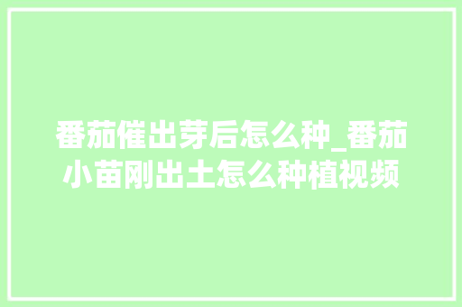 番茄催出芽后怎么种_番茄小苗刚出土怎么种植视频