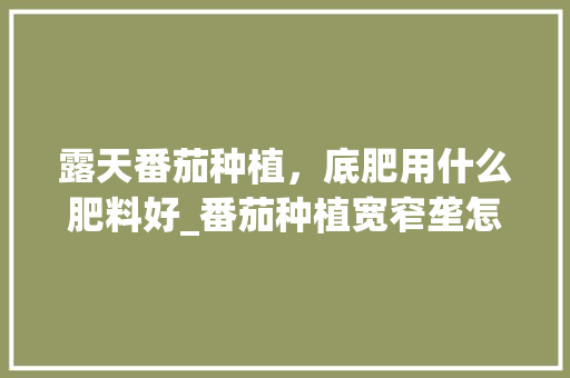 露天番茄种植，底肥用什么肥料好_番茄种植宽窄垄怎么安排的 露天番茄种植，底肥用什么肥料好_番茄种植宽窄垄怎么安排的 植物种类