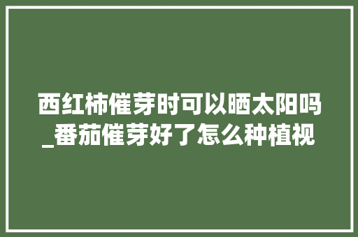 西红柿催芽时可以晒太阳吗_番茄催芽好了怎么种植视频 西红柿催芽时可以晒太阳吗_番茄催芽好了怎么种植视频 植物种类